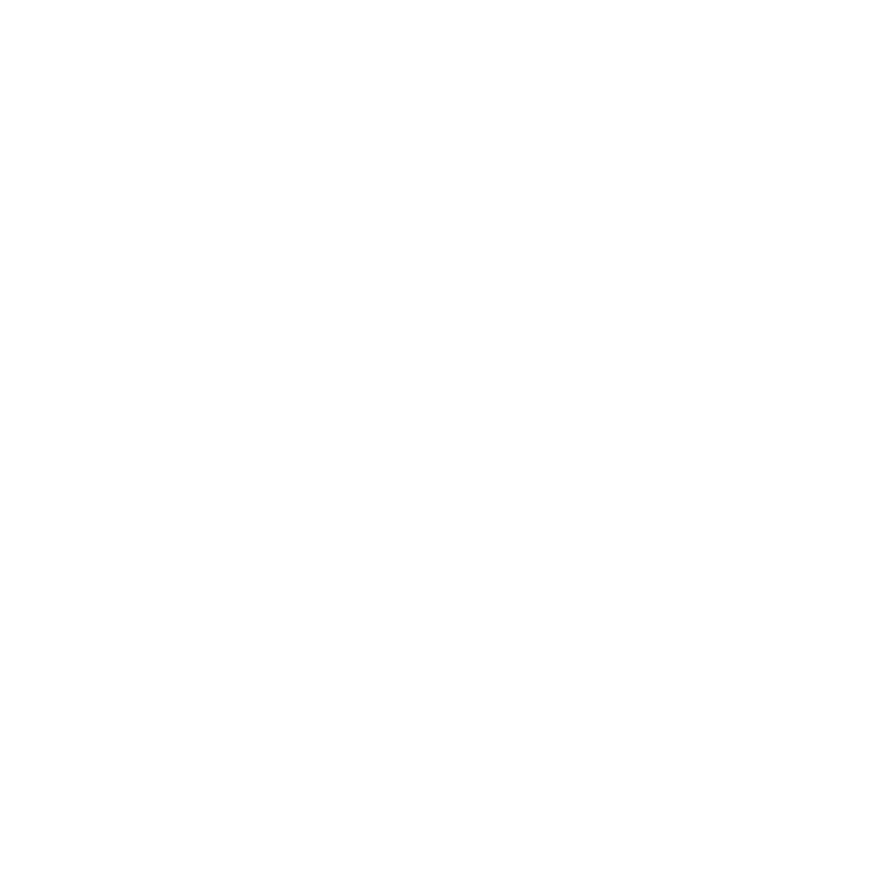 LOGO G4