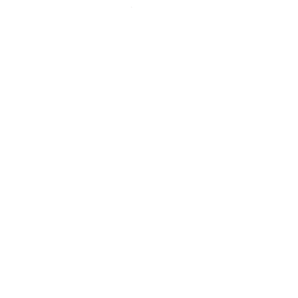 DASSAI