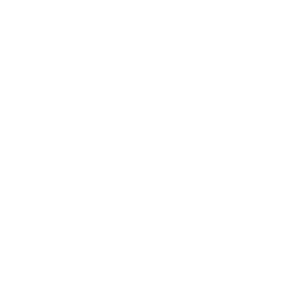 Blue-Run-Spirits logo white